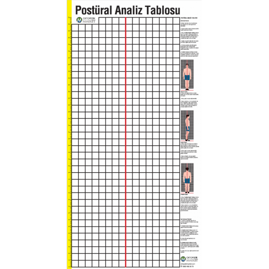 Postür Analiz Chart (Cetvel) | Duruş ve Omurga Hizalama Değerlendirme Aracı